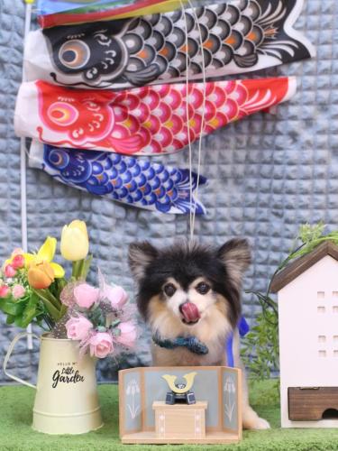 20230520虎ちゃん